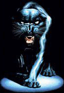 panther